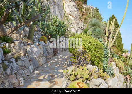 MONTE CARLO, MONACO - 20. AUGUST 2016: Der exotische Garten weg und Felsen mit seltenen sukkulenten Pflanzen an einem sonnigen Sommertag in Monte Carlo, Monaco.