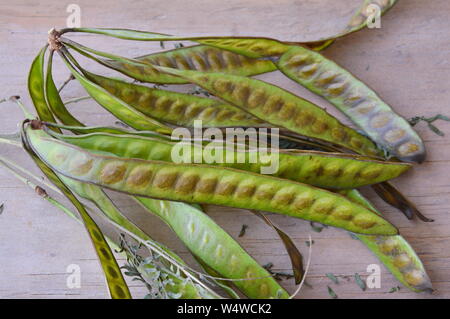 Frische acacia auf Holzbrett Stockfoto