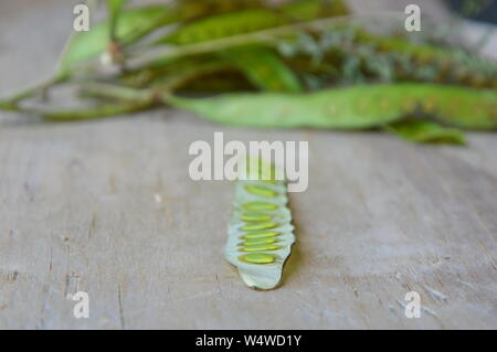 Frische acacia auf Holzbrett Stockfoto