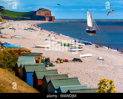 Budleigh Beach als Puzzle zu verkaufen. Ein zusammengesetztes Bild einer vergrößerten Klippe und hinzugefügten Vögeln und Boat.budleigh Stockfoto