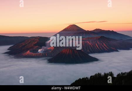 Mount Bromo glühende in goldenem Licht bei Sonnenaufgang, ein beliebtes Touristenziel in Indonesien Stockfoto