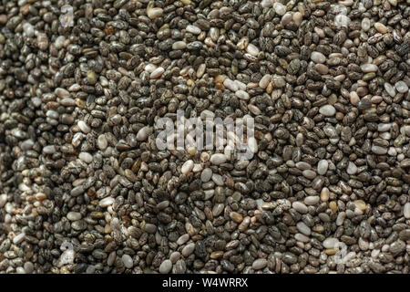 Chia Samen, die neue Superfood. Stockfoto