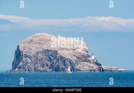 Segelyacht von Bass Rock mit Masse der Basstölpel Fliegen an einem sonnigen Tag Sommer, Erhabene, Schottland, Großbritannien Stockfoto