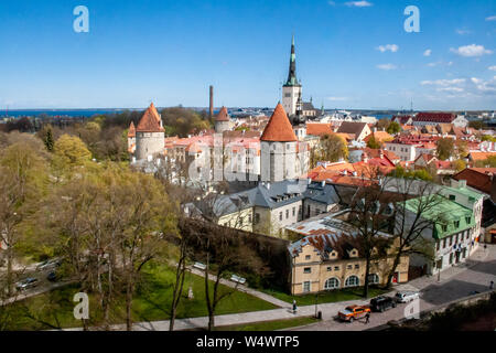 Landschaftlich schöne Luftaufnahme von der Altstadt von Tallinn, Estland mit Türmen und Kirchen, Ostsee auf dem Hintergrund Stockfoto