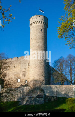 Hoch Hermann Turm und Parlamentsgebäude. Toompea, Gouverneure Garten, Tallinn, Estland estnische Verzicht auf die Fahne auf dem blauen Himmel Stockfoto