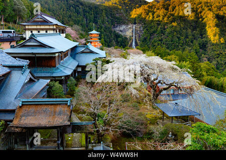 Überblick über die Nachi taisha Landschaft mit japanischer Garten, Tempel, Pagoden und Wasserfall, Wakayama, Japan Stockfoto