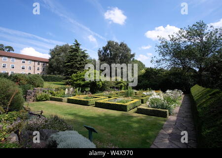 Garten mit Hecken Stockfoto