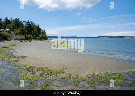 Blick auf die Küste in der Nähe der Coupeville Wharf auf Whidbey Island im Staat Washington bei Ebbe Stockfoto