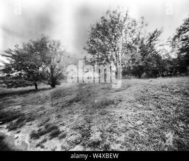 Feld mit Bäumen im Frühjahr, das schwarze und weiße Camera obscura Foto ist nicht scharf wegen der Kamera. Auf analogen fotografischen mir genommen Stockfoto