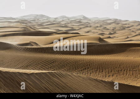 Frühmorgendliches Licht über bartschansichelförmige sich verschiebende Dünen. Taklamakan Desert-Xinjiang-China-0371 Stockfoto