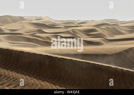 Frühmorgendliches Licht über bartschansichelförmige sich verschiebende Dünen. Taklamakan Desert-Xinjiang-China-0371 Stockfoto