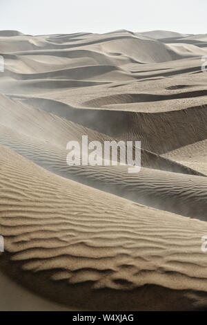 Frühmorgendliches Licht über bartschansichelförmige sich verschiebende Dünen. Taklamakan Desert-Xinjiang-China-0373 Stockfoto