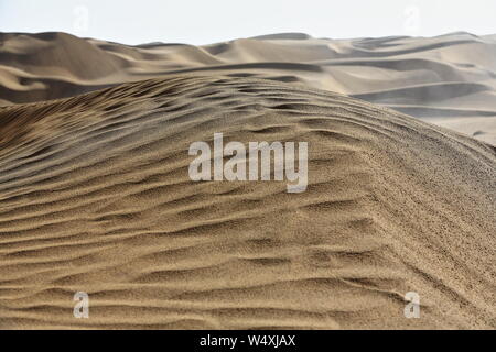 Frühmorgendliches Licht über bartschansichelförmige sich verschiebende Dünen. Taklamakan Desert-Xinjiang-China-0378 Stockfoto