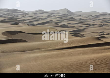 Frühmorgendliches Licht über bartschansichelförmige sich verschiebende Dünen. Taklamakan Desert-Xinjiang-China-0381 Stockfoto