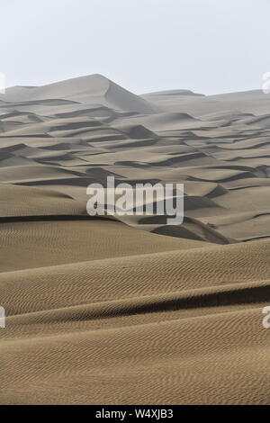 Frühmorgendliches Licht über bartschansichelförmige sich verschiebende Dünen. Taklamakan Desert-Xinjiang-China-0384 Stockfoto