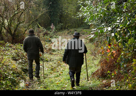 Zwei Quirle durch den Wald am Ende der Fahrt auf einer angetriebenen Fasan Schießen Stockfoto