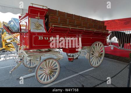 Budweiser Clydesdales Team die Teilnahme an der 2019 Delaware State Fair, Harrington, Delaware, USA. Stockfoto