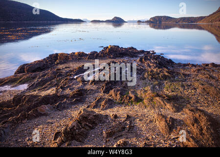 Ushuaia, Tierra del Fuego - 21. Juli 2019: Tierra del Fuego National Park Landschaft Blick auf den Lapaiata See in Ushuaia, Argentinien Stockfoto