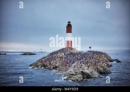 Les éclaireurs Leuchtturm auf einer kleinen Insel auf den Außenseiten von Ushuaia in den Beagle Kanal in Ushuaia, Tierra del Fuego Stockfoto