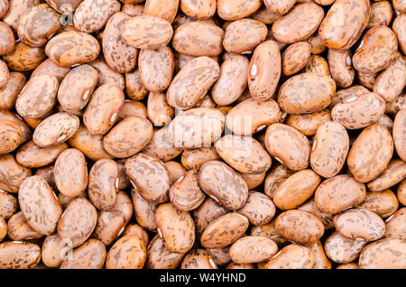 Cranberry Bean Textur Hintergrund. Auch Borlotti Bohnen oder Shell Bohne genannt. Cranberry Beans sind mit roten Flecken abgerundet. Stockfoto