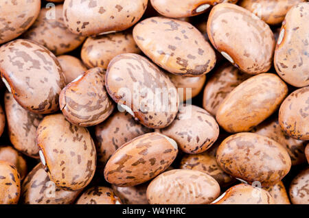 Cranberry Bean Textur Hintergrund. Auch Borlotti Bohnen oder Shell Bohne genannt. Cranberry Beans sind mit roten Flecken abgerundet. Stockfoto