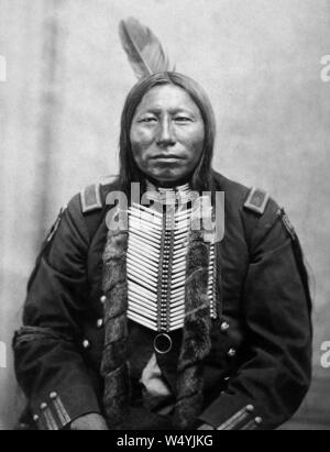 Krähe König. Mit Gaul, ein kämpfender Häuptling der Sioux im Custer Kampf (von L. D. Greene Album). Stockfoto