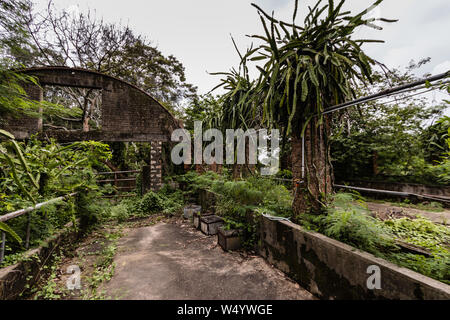 Die Ruinen des verlassenen Gewächshaus in der Nähe der Muttergottes von der Freude der Abtei, Lantau Island, Hong Kong Stockfoto