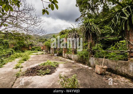 Die Ruinen des verlassenen Gewächshaus in der Nähe der Muttergottes von der Freude der Abtei, Lantau Island, Hong Kong Stockfoto