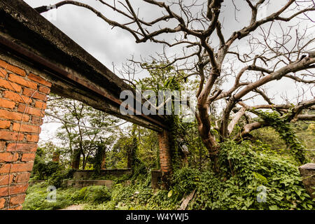 Die Ruinen des verlassenen Gewächshaus in der Nähe der Muttergottes von der Freude der Abtei, Lantau Island, Hong Kong Stockfoto