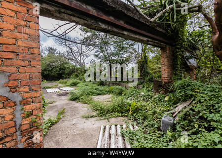 Die Ruinen des verlassenen Gewächshaus in der Nähe der Muttergottes von der Freude der Abtei, Lantau Island, Hong Kong Stockfoto