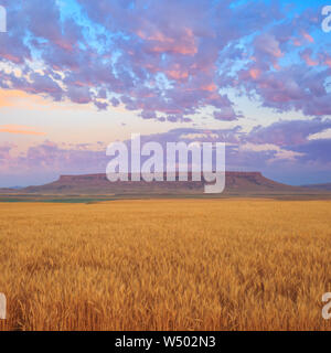 Sunrise Licht auf Wolken über Weizen Felder unten Square Butte in der Nähe von Ulm, Montana Stockfoto