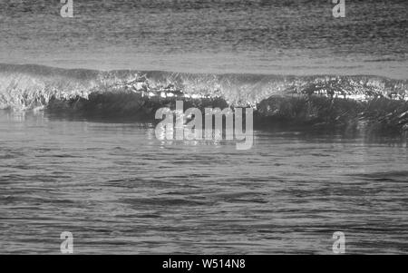 Silberwellen Seesaat, Schwarz und Weiß einer kleinen Rohr- oder Tunnelwelle, die in der Nähe des Strandes bricht, während das Nachmittagssignal durchscheint Stockfoto