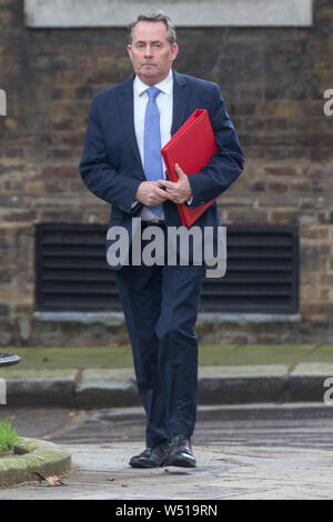 Die Minister kommen am 10 Downing Street, London, für eine Sitzung. Mit: Liam Fox MP Wo: London, Großbritannien Wann: 25 Jun 2019 Credit: Wheatley/WANN Stockfoto