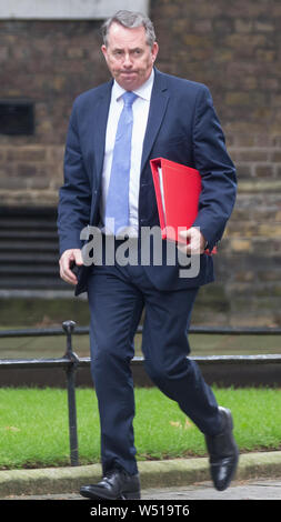 Die Minister kommen am 10 Downing Street, London, für eine Sitzung. Mit: Liam Fox MP Wo: London, Großbritannien Wann: 25 Jun 2019 Credit: Wheatley/WANN Stockfoto