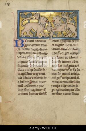 Zwei Löwen beleben Ihre toten Jungen, unbekannten Thérouanne?, Frankreich (ehemals Flandern), im vierten Quartal des 13. Jahrhunderts (nach 1277), Tempera Farben, Feder und Tinte, Blattgold und Gold Farbe auf Pergament, Blatt: 23,3 x 16,4 cm (9 3/16 x 6 7/16 Stockfoto