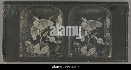 Stillleben mit Papagei, große Vase, und objet d'art, Thomas Richard Williams (Englisch, 1825-1871), 1855-1857, Stereograph, daguerreotypie, 7,1 × 6 cm (2 13/16 x 2 3/8 Zoll Stockfoto