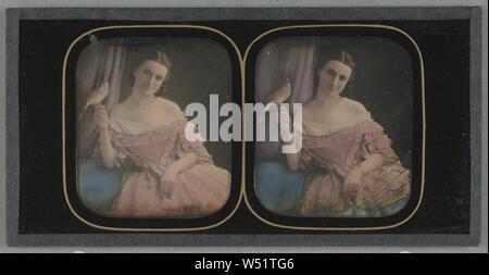 Bildnis einer sitzenden Frau mit einem Vogel auf ihrem Finger, Unbekannten, Britischen thront, über 1855, Stereograph, Daguerreotypie, von Hand gefärbt Stockfoto