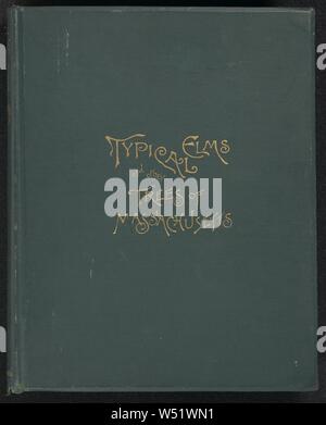 Typische Ulmen und andere Bäume von Massachusetts, Lorin L. Dame (American, 1838 - 1903), Oliver Wendell Holmes (1809 - 1894), Henry Brooks (American, Born 1857), Boston, Massachusetts, USA, 1890, Photogravüre, Geschlossen: 36 × 28,5 × 4,6 cm (14 1/4 x 11 1/4 x 1 13/16 in Stockfoto