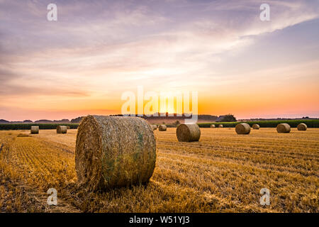 Sonnenuntergang auf dem Feld mit Heu Rollen in Weißenhorn Bayern Deutschland Stockfoto