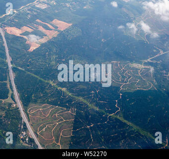 Luftaufnahme von palmölplantage in Selangor, Malaysia Stockfoto