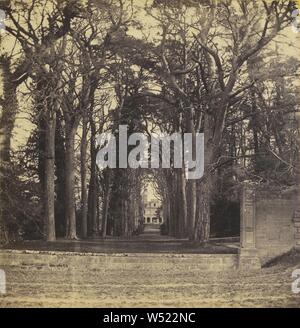 Von Guy Cliff - Die Avenue, von der Straße aus. Warwickshire, England, Francis Bedford (Englisch, 1815/1816 - 1894), ca. 1867 - 1868, Eiweiß silber Drucken