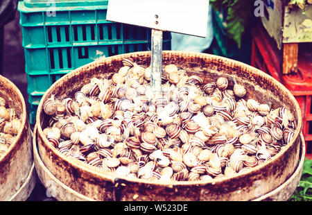 Raw Schnecken lebendig für den Verkauf in der Fischmarkt Pescheria von Catania, Sizilien, Italien Stockfoto