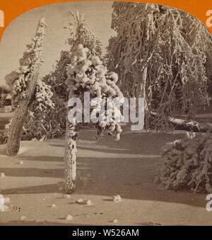 Sonnenlicht und Schatten - Luna Island - Winter. Niagara Falls, New York, George E. Curtis (USA, 1830 - 1910), ca. 1869, Eiweiß silber Drucken Stockfoto