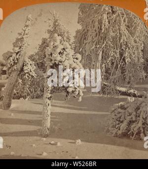 Sonnenlicht und Schatten - Luna Island - Winter Niagara Falls, New York, George E. Curtis (USA, 1830 - 1910), ca. 1869, Eiweiß silber Drucken Stockfoto