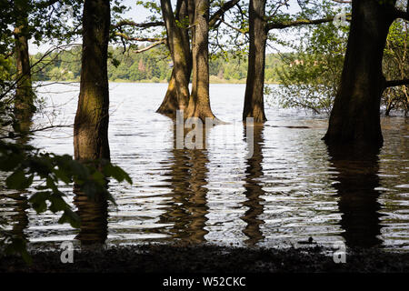 Brucher Talsperre in Marienheide Stockfoto