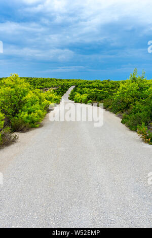 Griechenland, Zakynthos, Fahrt entlang der perfekte Straße zwischen grüner Natur Stockfoto