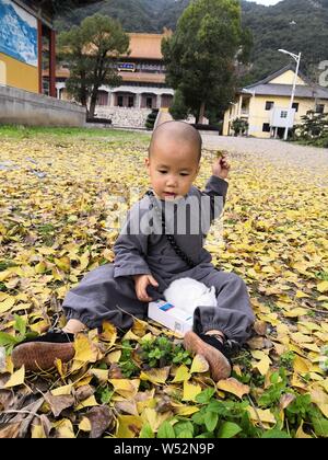 3-jährige Chinese Chen Zhaoyu gekleidet wie ein kleiner Mönch auf dem Boden und spielt mit einem Kaninchen an einem Tempel in Wenling Stadt sitzt, der East China Zheji Stockfoto