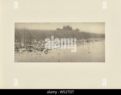 Water-Lilies, Peter Henry Emerson (Briten, geboren in Kuba, 1856-1936), London, England, 1886, Platin, 12,4 × 28,4 cm (4 7/8 x 11 3/16 in. Stockfoto