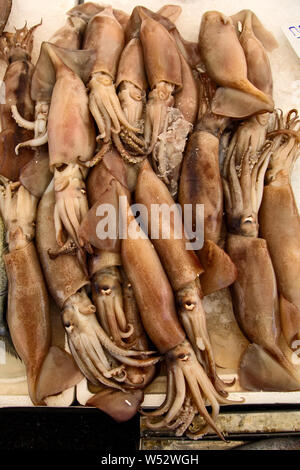 Squid auf dem Markt in Griechenland warten auf Kunden. Stockfoto