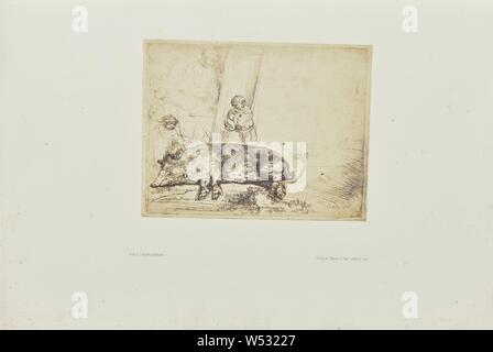 Die hog, Bisson Frères (Französisch, aktiv 1840 - 1864), Paris, Frankreich, 1858, Eiweiß Silber drucken, 14,9 × 19,1 cm (5 7/8 x 7 1/2 in. Stockfoto